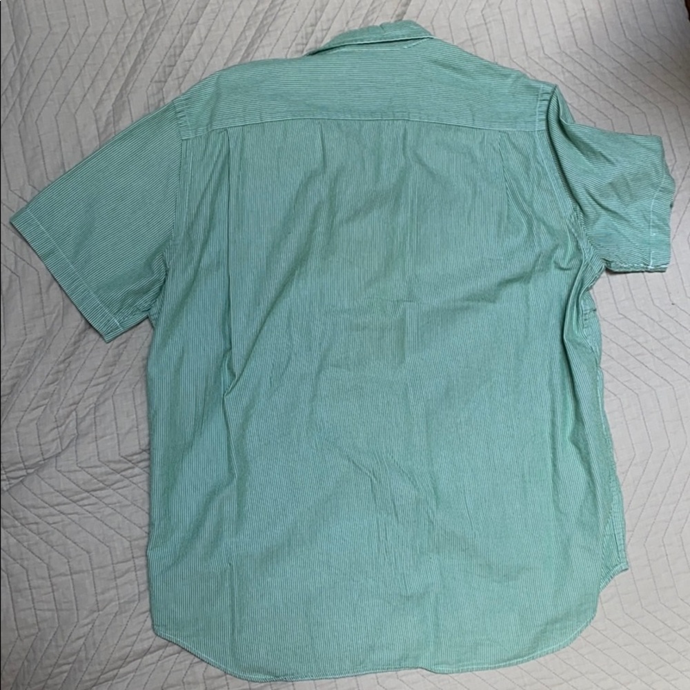 Pinstripe Button Down - image 4